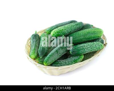 Basket with cucumbers. Wicker basket with cucumbers isolated on white background. organic bio cucumbers in basket on white Stock Photo
