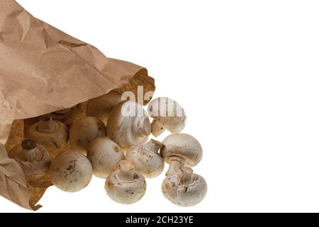 Close up view of champignon mushrooms in paper bag on white background. Cooking. Kitchen. Food.. Stock Photo