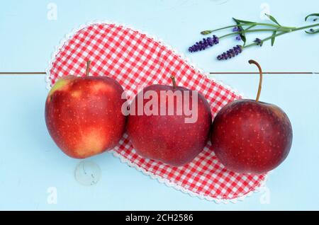Closeup of red,  yellow and green apples on a vintage checkerd textile cloth on a rural wooden background Stock Photo