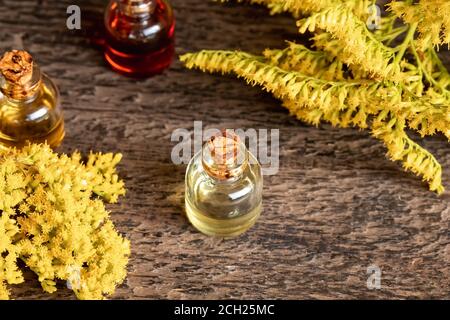 A bottle of Canadian goldenrod essential oil with blooming Solidago canadensis twigs Stock Photo