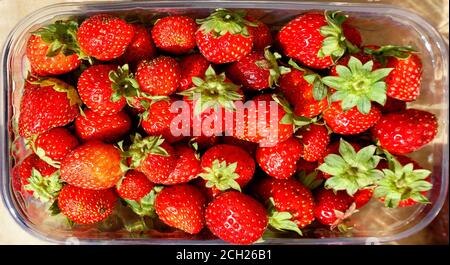 Red ripe strawberries lie in plastic containers and are sold in street markets, top view. Stock Photo