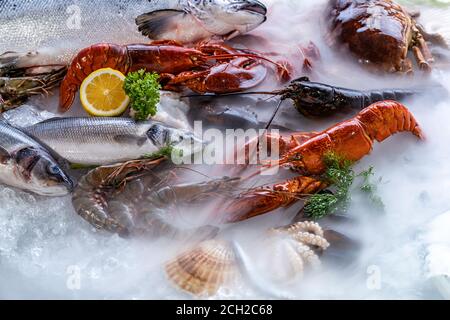 Variety of fresh luxury seafood, Lobster salmon mackerel crayfish prawn octopus mussel red snapper scallop and stone crab, on ice background with icy Stock Photo