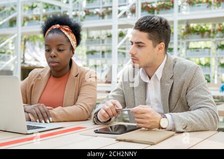 Two young serious intercultural colleagues watching online training by table Stock Photo