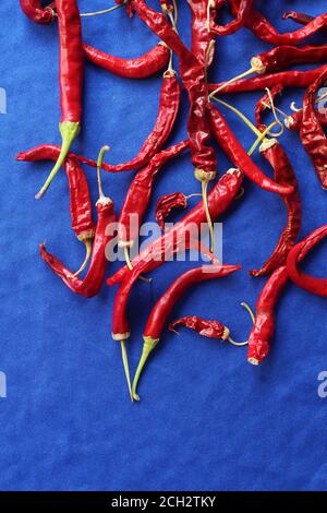 Top down view of dried red hot chili peppers on a bright blue background. Natural food ingredient in close up with copyspace underneath. Stock Photo