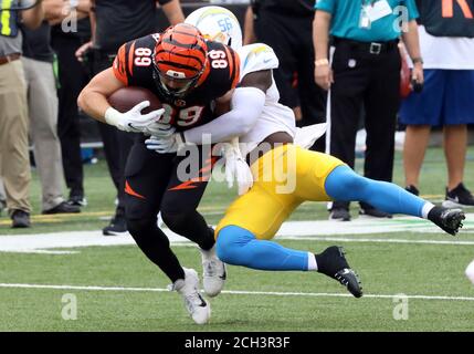 Cincinnati Bengals tight end Drew Sample (89) lines up for a play during an  NFL football game against the Pittsburgh Steelers, Sunday, Sep. 11, 2022,  in Cincinnati. (AP Photo/Kirk Irwin Stock Photo - Alamy