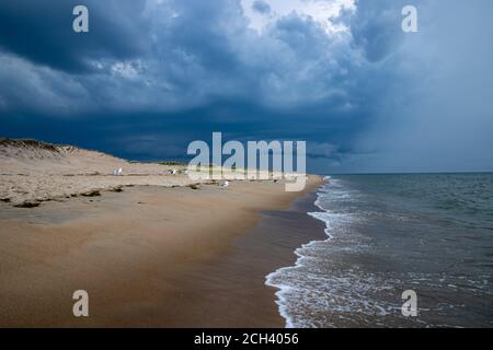 Dark storm clouds rising above the beach shoreline. Stock Photo