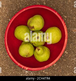 Green pears from California in red bowl seen from above- summer harvest in California concept Stock Photo