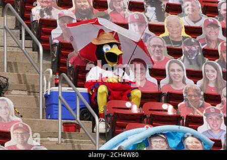 St. Louis Cardinals mascot Fredbird, top, high-fives a group of elementary  school children after they sang the national anthem prior to a baseball  game between the Cardinals and the Detroit Tigers, Sunday