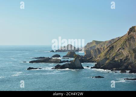 Jagged rock formations and cliffs in Hartland Quay, North Devon, UK Stock Photo