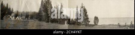 . The Cody road into Yellowstone Park . mountain of glass,the Golden Gate Silver Gate, the Hoodoos and Mammoth HotSprings, the Devils Kitchen, Jupiter and Cleopatra terraces,the buffalo herd, Fort Yellowstone and the various points cf inter-est in this locality Camp on the bank of the East Gardiner river. Tenth Day—Through a country of open parks and noun-tain scenery of great beauty, spending some time in the petrifiedforests and passing the Lower Canyon of the Yellowstone.Camp at Tower Falls. Eleventh Day—Leaving Tower Falls, Mount Washburn isascended and from its summit is seen a panorama o Stock Photo