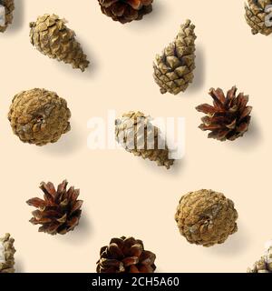 seamless christmas pattern from Pine cones on white background. modern pine cone christmas collage. Print for paper, fabric, wallpaper pinecones Stock Photo