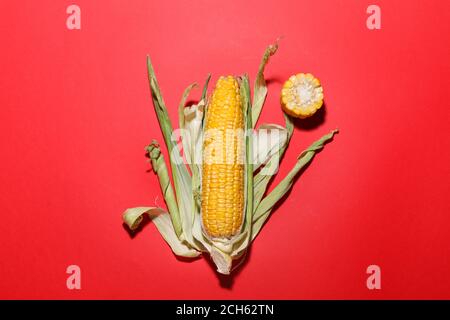 Fresh corn cob on color background Stock Photo