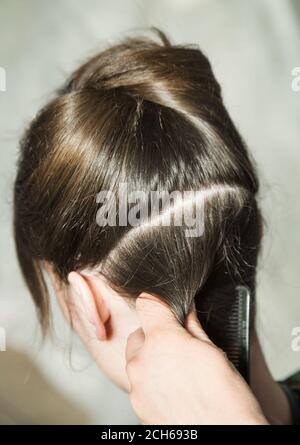 Closeup of combing back side hair part with selective focus Stock Photo