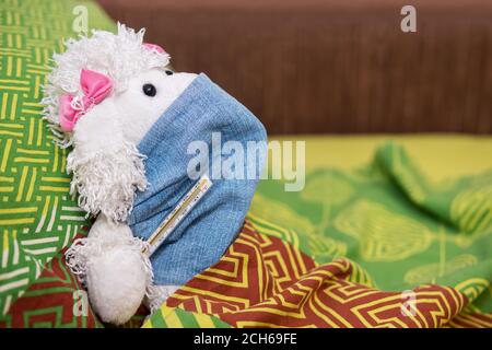 sick toy poodle dog in a medical mask with a thermometer under his arm Stock Photo