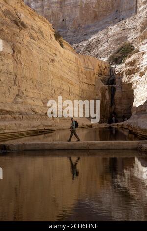 Ein Avdat or Ein Ovdat oasis is a canyon in the Negev Desert of Israel, south of Kibbutz Sde Boker. Archaeological evidence shows that Ein Avdat was i Stock Photo