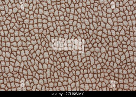 Impressively fabric texture with ornamental surface. High quality texture. Stock Photo