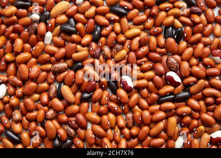 Background from different types of beans, brown, black, spotted beans, top view. Stock Photo