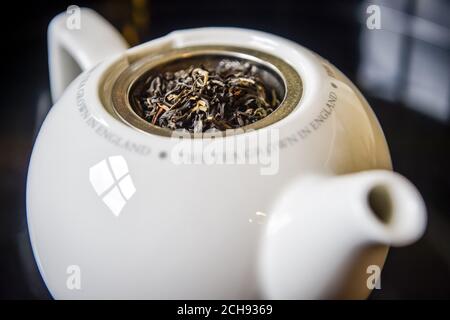 Tea grown on the tea plantation at the Tregothnan estate near Truro, Cornwall, which began growing and supplying England's first and only tea in 2005, brews in a teapot.  Stock Photo