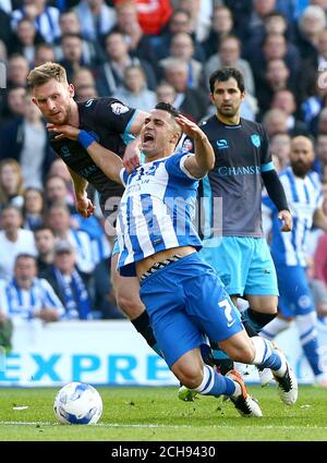 Brighton and Hove Albion's Biram Kayal goes down under a challenge from Sheffield Wednesday's Tom Lees (left) during the Sky Bet Championship play off, second leg match at the AMEX Stadium, Brighton. Stock Photo