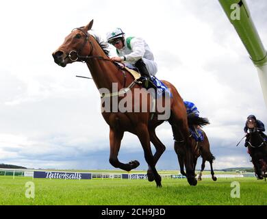 Van Der Decken ridden by Wayne Lordan win the Elusive Pimpernel EBF Breeders Fund Maiden during day two of the Tattersalls Irish Guineas Festival at Curragh Racecourse. Stock Photo