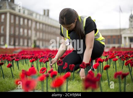 Volunteer Tori Ling puts the finishing touches to the 5000 Poppies exhibit - which uses almost 300,000 individually crocheted poppies, covering nearly 2,000sq m (21,000sq ft) in the grounds of the Royal Hospital Chelsea - during a preview day at the Chelsea Flower Show in London. Stock Photo