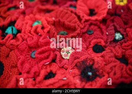 Some of the individually poppies which make up the 5000 Poppies exhibit - which uses almost 300,000 individually crocheted poppies, covering nearly 2,000sq m (21,000sq ft) in the grounds of the Royal Hospital Chelsea - during a preview day at the Chelsea Flower Show in London. Stock Photo