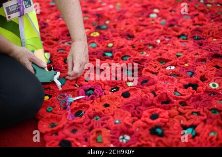 Volunteers put the finishing touches to the 5000 Poppies exhibit - which uses almost 300,000 individually crocheted poppies, covering nearly 2,000sq m (21,000sq ft) in the grounds of the Royal Hospital Chelsea - during a preview day at the Chelsea Flower Show in London. Stock Photo