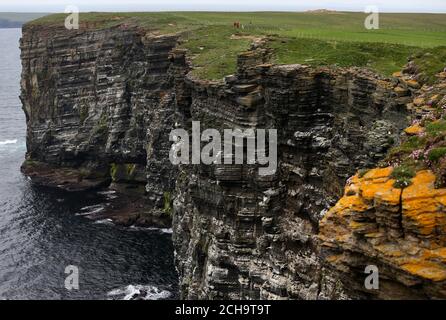 Visitors walk along the cliff tops high above the sea at Marwick Head in Orkney    