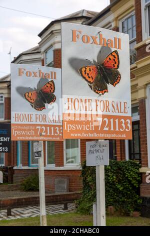 Estate agent signs for apartment flats for sale, Spring Road, Ipswich, Suffolk, England, UK Stock Photo