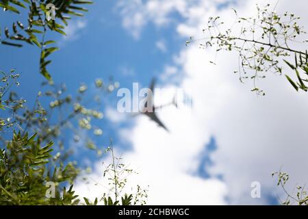 Plane in background Stock Photo