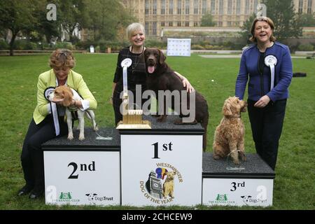 Tracy Brabin, MP for Batley and Spen with Labrador Rocky (centre) is announced as winner of the 25th Westminster Dog of the Year competition, with second placed Rebecca Pow with Dogs Trust rescue dog Beagle Bonnie (left), and third place Maria Miller with Cocker Spaniel/Poodle cross Ted at the end of the competition organised jointly by Dogs Trust and The Kennel Club, London. PRESS ASSOCIATION. Picture date: Thursday October 26th, 2017. The competition is open to all canines belonging to MPs and Lords and celebrates the special relationship between human and dog. Ten canines took part from Stock Photo
