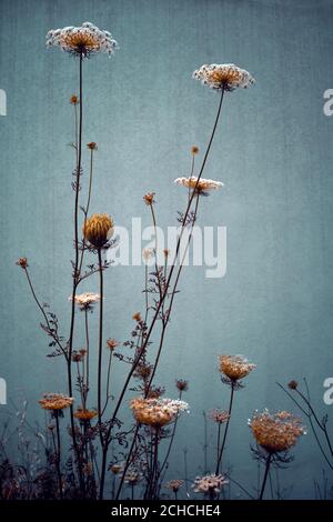 Flowers Background in Grunge Style. Beautiful Gentle Wildflowers. Stylish Floral Wallpaper. Rustic Style Bouquet. Stock Photo