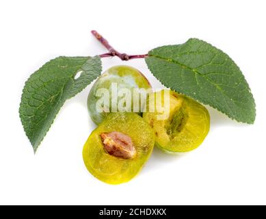 Mirabelle isolated on white background Stock Photo
