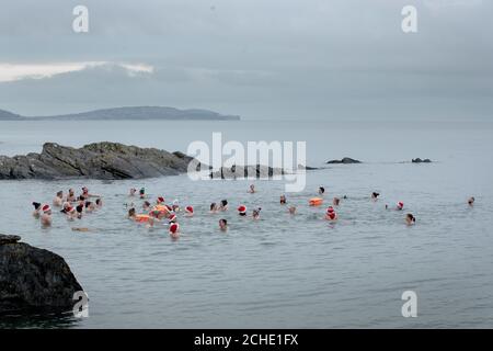 Team Dash and Splash swimmers, some in 
