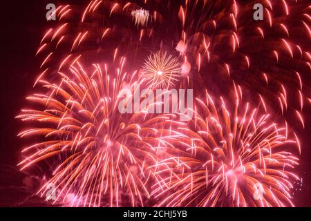 Colorful fireworks in the evening dark sky. Stock Photo