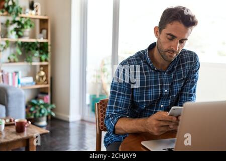 Young man checking his cellphone while working from home Stock Photo