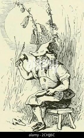 . Midsummer Eve : a fairy tale of loving and being loved . hy doesnt helay hould of him and make him give up the purseo goold he carries, ever and always, in his pocket.A fairy man! enagh! and cant catch the onlyfairy worth catching—the ould cobbler that wouldmake the little mistress as rich as she is beau-tiful! a fairy man! and the l^urse retired toher own territory to prepare the several treatsher best skill could devise, in the forms of Sally-Lun and Slim-cake, forher darling. But Kitty was not allowed to remain long at her occupation.She had enough to do to answer the taps at the door, an Stock Photo