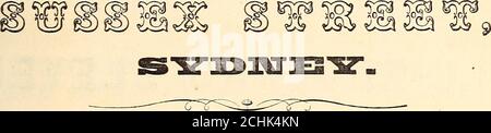 . Bailliere's New South Wales gazetteer and road guide : containing the most recent and accurate information as to every place in the colony : with map . Goods in Sheetings, Shirtings, Ticks, Huckabacks,Towellings, Diapers, Table-linens, Toilets, Quilts, Counterpanes, &c, &c. Bradford and Stuff Goods of all kinds, Blankets and Flannels from the verybest makers, which need only be inspected to be approved of. D. E. & Co., in calling attention to their extensive Clothing Department, needonly say that .it is one of the oldest, and has hitherto been one of the most successfulin the City of Sydney, Stock Photo