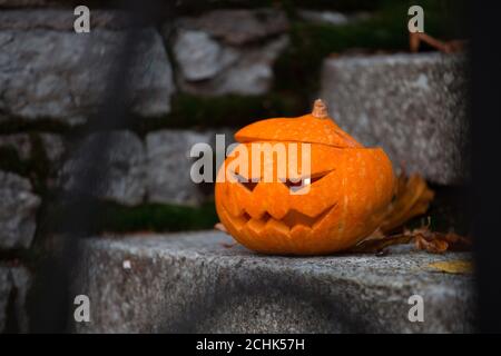 Orange halloween pumpkin on stone house steps with orange maple leaves Stock Photo