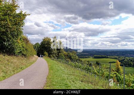 The North Downs Way Footpath in the Surrey Hills near Dorking Surrey England UK Stock Photo