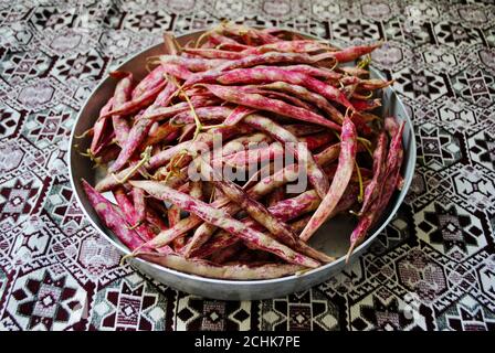 Heap of fresh kidney beans (Barbunya) in a round iron tray on patterned tablecloth. Top view. Stock Photo