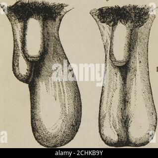 Bu, albatta, barcha birinchi marta va belanchak anal Talabalar bilan plyajda jinsiy aloqa
