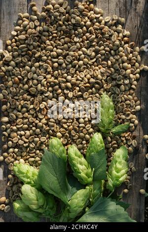 Hop twigs  and green coffee beans  over wooden cracked table background. Vintage toned. Beer ingredients. Brewing flat lay concept. Stock Photo