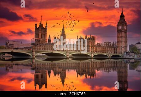 London Westminster and Big Ben reflected on the Thames at sunset with birds flying over the city Stock Photo