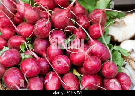 ��á�����Դǲ� Stock Photo