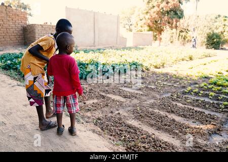 African Brothers Looking at Lettuce Field Outdoors in Village near Bamako, Mali Stock Photo