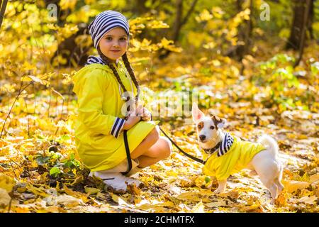 Portrait of a little girl on a background of orange and yellow leaves in an autumnal sunny day. Little puppy jack russell terrier. Pet and child Stock Photo