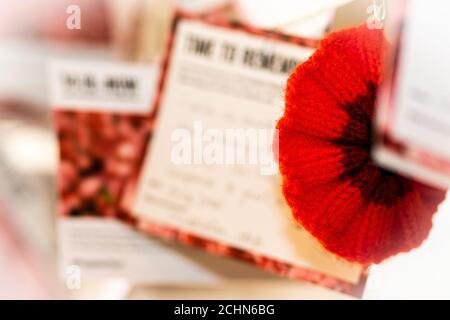 Images of poppies - an installation at Middleport Pottery in Stoke on Trent UK commemorating 100 years of the first world war Stock Photo