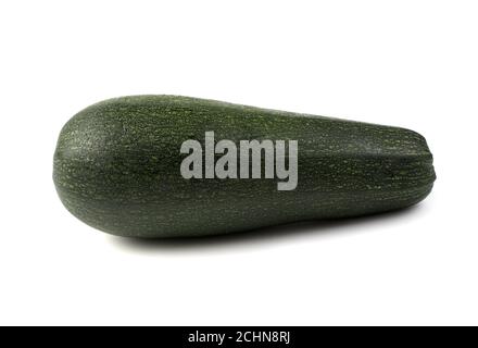 Green zucchini on a white background with space to copy. Stock Photo
