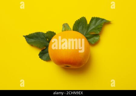Round zucchini and leaves on yellow background Stock Photo